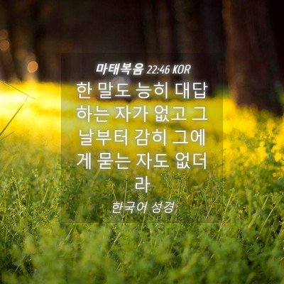 Picture 04 - 마태복음 22:46 KOR - 한 말도 능히 대답하는 자가 없고 그 - Bible Verse Picture