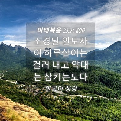 Picture 04 - 마태복음 23:24 KOR - 소경된 인도자여 하루살이는 걸러 - Bible Verse Picture