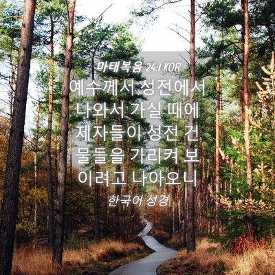 Picture 04 - 마태복음 24:1 KOR - 예수께서 성전에서 나와서 가실 때에 - Bible Verse Picture