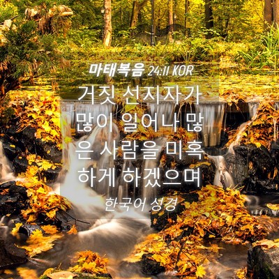 Picture 04 - 마태복음 24:11 KOR - 거짓 선지자가 많이 일어나 많은 - Bible Verse Picture