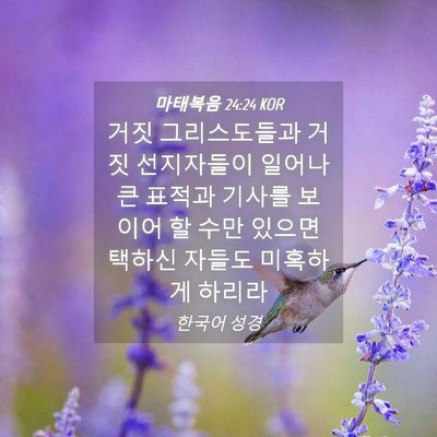 Picture 04 - 마태복음 24:24 KOR - 거짓 그리스도들과 거짓 선지자들이 - Bible Verse Picture