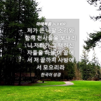 Picture 04 - 마태복음 24:31 KOR - 저가 큰 나팔 소리와 함께 천사들을 - Bible Verse Picture