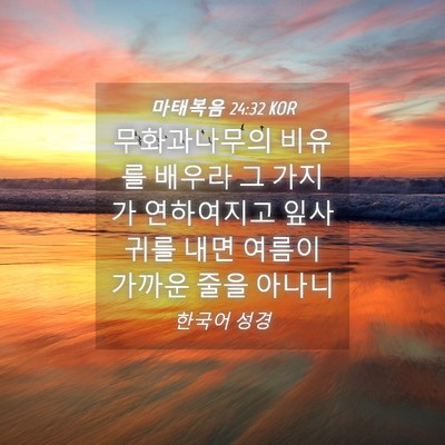 Picture 04 - 마태복음 24:32 KOR - 무화과나무의 비유를 배우라 그 - Bible Verse Picture