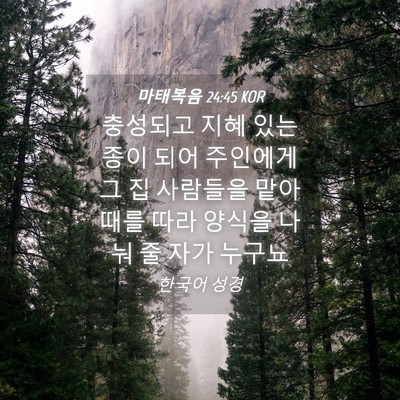 Picture 04 - 마태복음 24:45 KOR - 충성되고 지혜 있는 종이 되어 - Bible Verse Picture