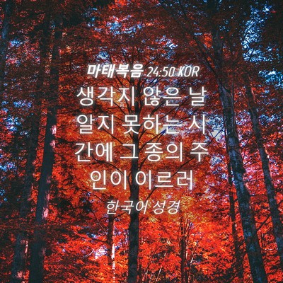 Picture 04 - 마태복음 24:50 KOR - 생각지 않은 날 알지 못하는 시간에 - Bible Verse Picture