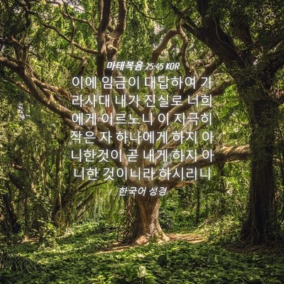 Picture 04 - 마태복음 25:45 KOR - 이에 임금이 대답하여 가라사대 내가 - Bible Verse Picture