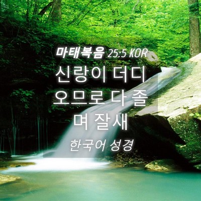 Picture 04 - 마태복음 25:5 KOR - 신랑이 더디 오므로 다 졸며 - Bible Verse Picture