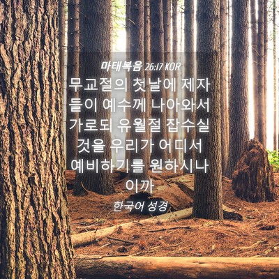Picture 04 - 마태복음 26:17 KOR - 무교절의 첫날에 제자들이 예수께 - Bible Verse Picture