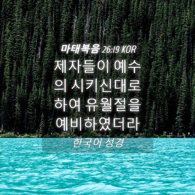 Picture 04 - 마태복음 26:19 KOR - 제자들이 예수의 시키신대로 하여 - Bible Verse Picture