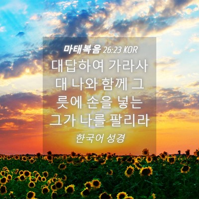 Picture 04 - 마태복음 26:23 KOR - 대답하여 가라사대 나와 함께 그릇에 - Bible Verse Picture