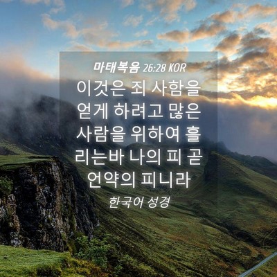 Picture 04 - 마태복음 26:28 KOR - 이것은 죄 사함을 얻게 하려고 많은 - Bible Verse Picture