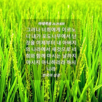 Picture 04 - 마태복음 26:29 KOR - 그러나 너희에게 이르노니 내가 - Bible Verse Picture