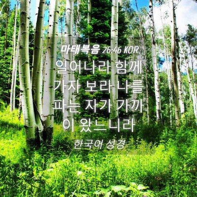 Picture 04 - 마태복음 26:46 KOR - 일어나라 함께 가자 보라 나를 파는 - Bible Verse Picture