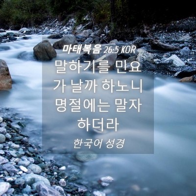 Picture 04 - 마태복음 26:5 KOR - 말하기를 민요가 날까 하노니 - Bible Verse Picture