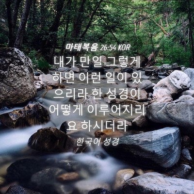 Picture 04 - 마태복음 26:54 KOR - 내가 만일 그렇게 하면 이런 일이 - Bible Verse Picture