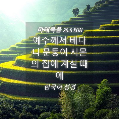 Picture 04 - 마태복음 26:6 KOR - 예수께서 베다니 문둥이 시몬의 집에 - Bible Verse Picture