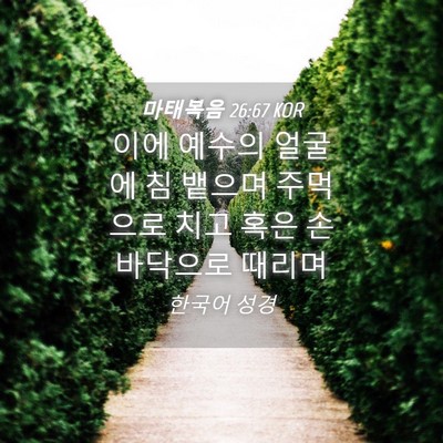 Picture 04 - 마태복음 26:67 KOR - 이에 예수의 얼굴에 침 뱉으며 - Bible Verse Picture