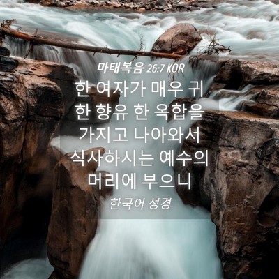 Picture 04 - 마태복음 26:7 KOR - 한 여자가 매우 귀한 향유 한 옥합을 - Bible Verse Picture
