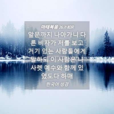 Picture 04 - 마태복음 26:71 KOR - 앞문까지 나아가니 다른 비자가 저를 - Bible Verse Picture