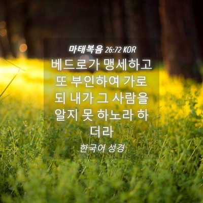 Picture 04 - 마태복음 26:72 KOR - 베드로가 맹세하고 또 부인하여 - Bible Verse Picture