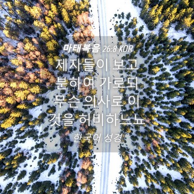 Picture 04 - 마태복음 26:8 KOR - 제자들이 보고 분하여 가로되 무슨 - Bible Verse Picture