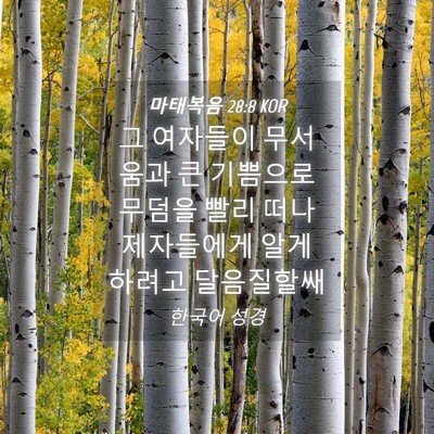 Picture 04 - 마태복음 28:8 KOR - 그 여자들이 무서움과 큰 기쁨으로 - Bible Verse Picture