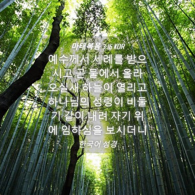 Picture 04 - 마태복음 3:16 KOR - 예수께서 세례를 받으시고 곧 물에서 - Bible Verse Picture