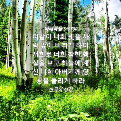 Picture 04 - 마태복음 5:16 KOR - 이같이 너희 빛을 사람 앞에 비취게 - Bible Verse Picture