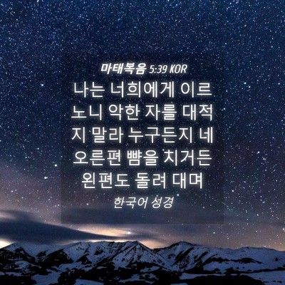 Picture 04 - 마태복음 5:39 KOR - 나는 너희에게 이르노니 악한 자를 - Bible Verse Picture