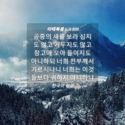 Picture 04 - 마태복음 6:26 KOR - 공중의 새를 보라 심지도 않고 - Bible Verse Picture
