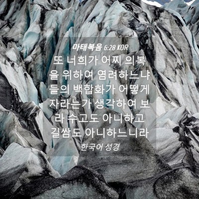 Picture 04 - 마태복음 6:28 KOR - 또 너희가 어찌 의복을 위하여 - Bible Verse Picture