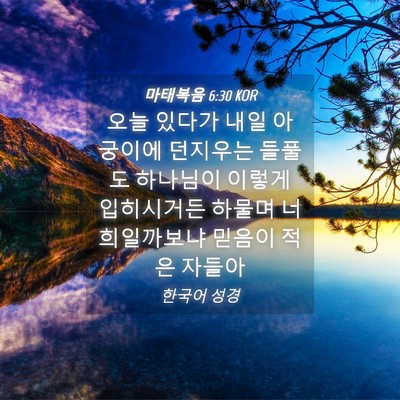 Picture 04 - 마태복음 6:30 KOR - 오늘 있다가 내일 아궁이에 던지우는 - Bible Verse Picture