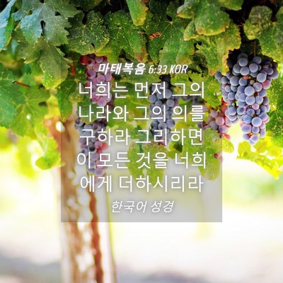 Picture 04 - 마태복음 6:33 KOR - 너희는 먼저 그의 나라와 그의 의를 - Bible Verse Picture