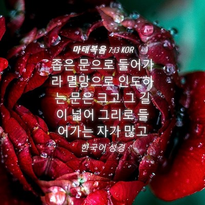 Picture 04 - 마태복음 7:13 KOR - 좁은 문으로 들어가라 멸망으로 - Bible Verse Picture
