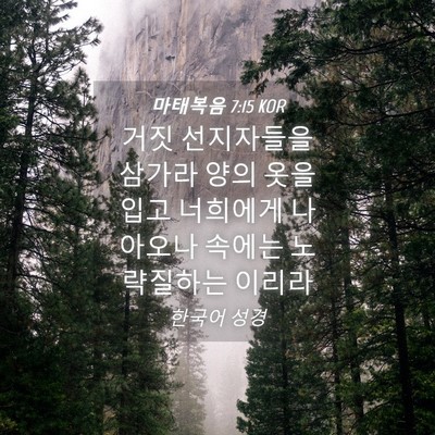 Picture 04 - 마태복음 7:15 KOR - 거짓 선지자들을 삼가라 양의 옷을 - Bible Verse Picture