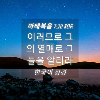 Picture 04 - 마태복음 7:20 KOR - 이러므로 그의 열매로 그들을 - Bible Verse Picture