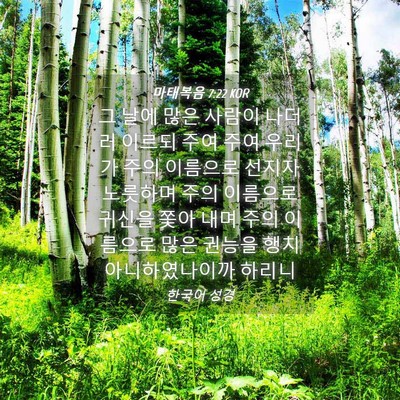 Picture 04 - 마태복음 7:22 KOR - 그 날에 많은 사람이 나더러 이르되 - Bible Verse Picture
