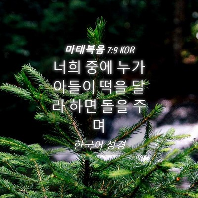 Picture 04 - 마태복음 7:9 KOR - 너희 중에 누가 아들이 떡을 달라 - Bible Verse Picture