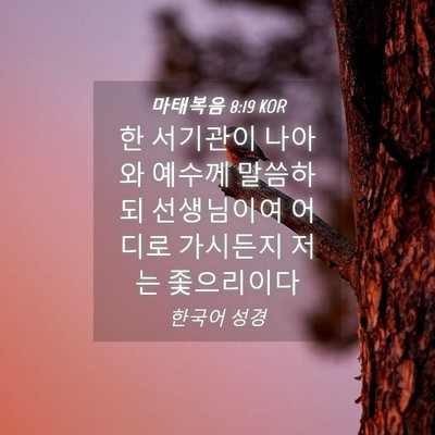 Picture 04 - 마태복음 8:19 KOR - 한 서기관이 나아와 예수께 말씀하되 - Bible Verse Picture