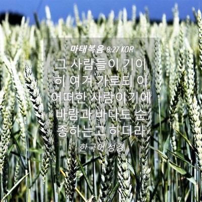 Picture 04 - 마태복음 8:27 KOR - 그 사람들이 기이히 여겨 가로되 이 - Bible Verse Picture