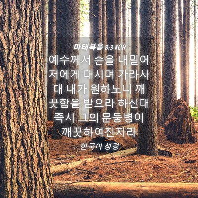 Picture 04 - 마태복음 8:3 KOR - 예수께서 손을 내밀어 저에게 대시며 - Bible Verse Picture