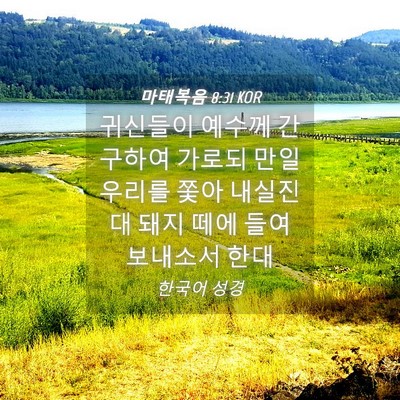 Picture 04 - 마태복음 8:31 KOR - 귀신들이 예수께 간구하여 가로되 - Bible Verse Picture
