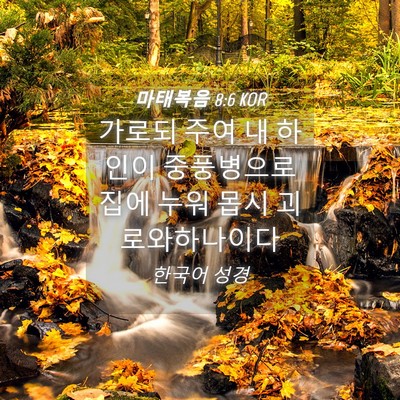 Picture 04 - 마태복음 8:6 KOR - 가로되 주여 내 하인이 중풍병으로 - Bible Verse Picture