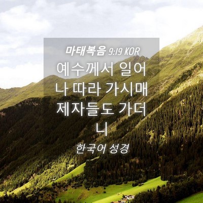 Picture 04 - 마태복음 9:19 KOR - 예수께서 일어나 따라 가시매 - Bible Verse Picture