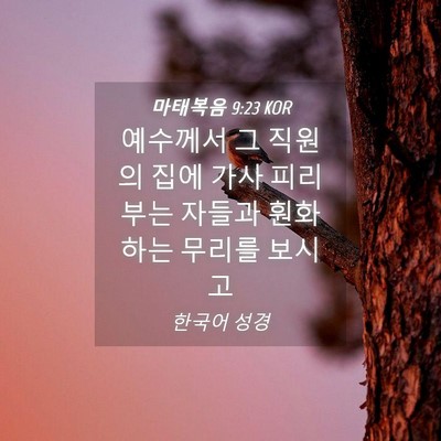 Picture 04 - 마태복음 9:23 KOR - 예수께서 그 직원의 집에 가사 피리 - Bible Verse Picture