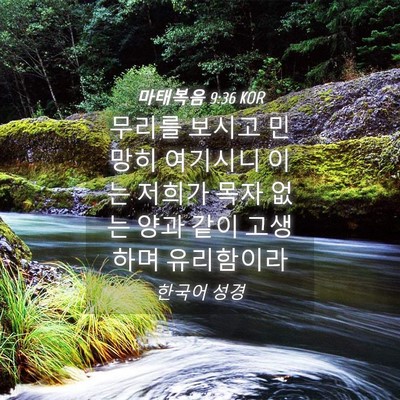Picture 04 - 마태복음 9:36 KOR - 무리를 보시고 민망히 여기시니 이는 - Bible Verse Picture