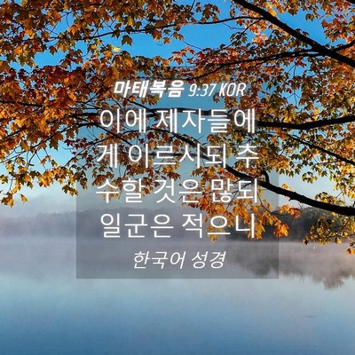 Picture 04 - 마태복음 9:37 KOR - 이에 제자들에게 이르시되 추수할 - Bible Verse Picture