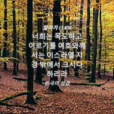 Picture 04 - 말라기 1:5 KOR - 너희는 목도하고 이르기를 - Bible Verse Picture