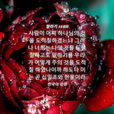 Picture 04 - 말라기 3:8 KOR - 사람이 어찌 하나님의 것을 - Bible Verse Picture
