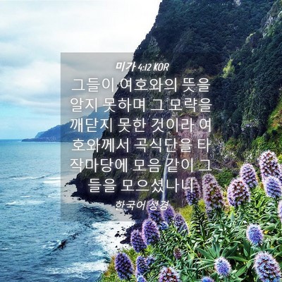Picture 04 - 미가 4:12 KOR - 그들이 여호와의 뜻을 알지 못하며 - Bible Verse Picture